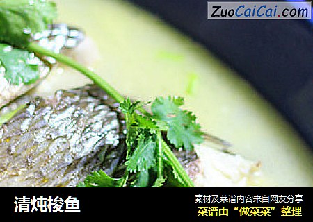 清炖梭鱼
