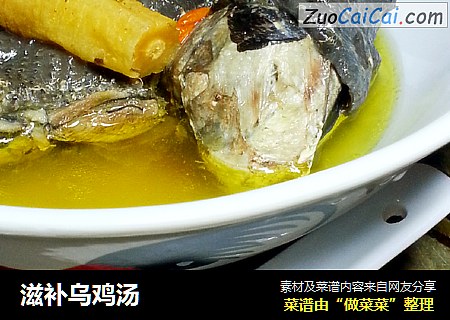 滋补乌鸡汤