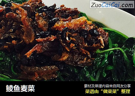 鲮鱼麦菜