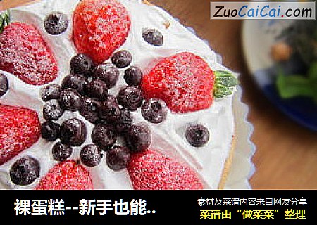 裸蛋糕--新手也能搞定的惊艳蛋糕