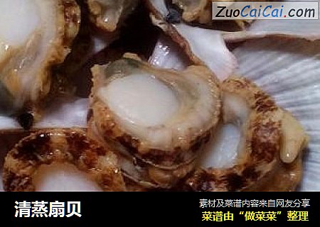 清蒸扇贝