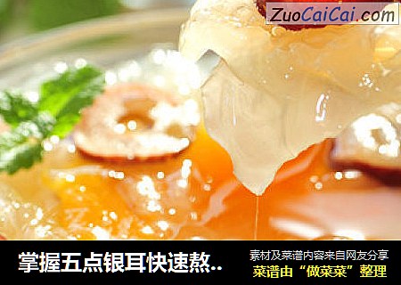 掌握五点银耳快速熬出胶——煮一锅美容瘦身的木瓜银耳羹