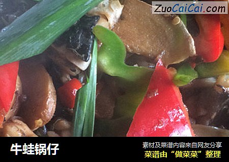 牛蛙锅仔