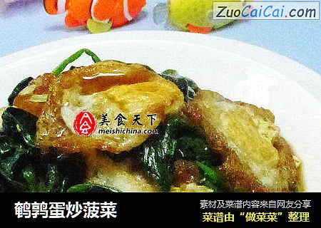鹌鹑蛋炒菠菜