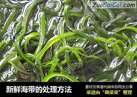 新鲜海带的处理方法