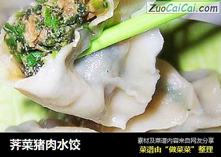 荠菜猪肉水饺