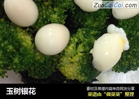 玉树银花