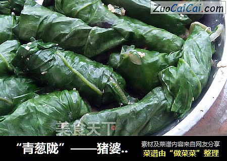 “青葱陇”——猪婆菜酿