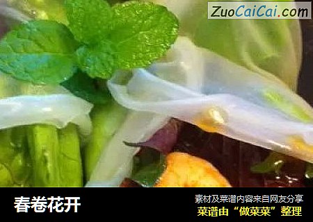 春卷花开