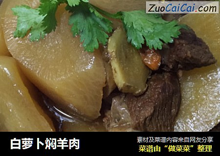 白萝卜焖羊肉
