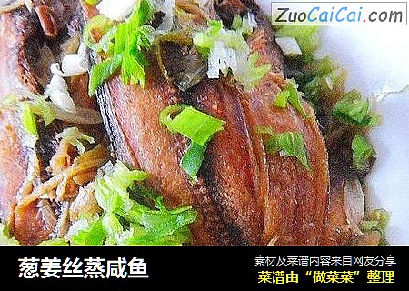 葱姜丝蒸咸鱼