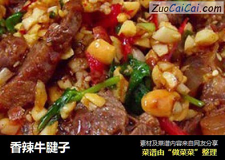 香辣牛腱子