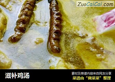 滋补鸡汤