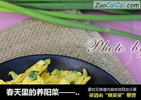 春天里的养阳菜——鸡蛋抱香葱