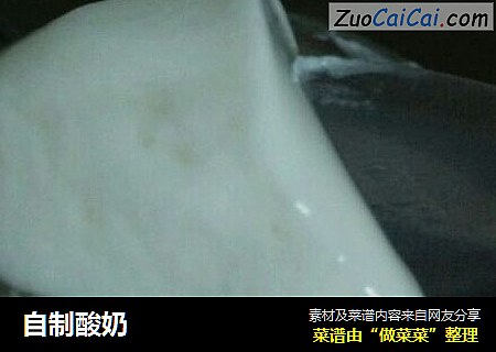 自制酸奶
