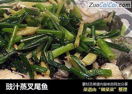 豉汁蒸叉尾鱼