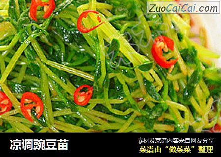凉调豌豆苗
