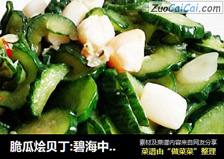 脆瓜烩贝丁:碧海中的白帆点点