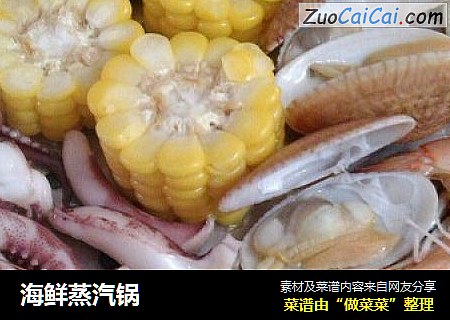 海鲜蒸汽锅
