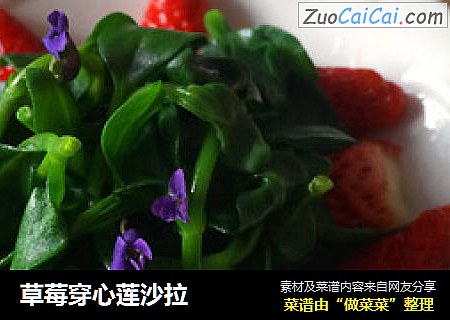 草莓穿心莲沙拉