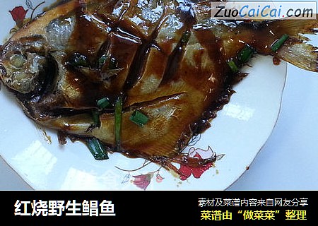 红烧野生鲳鱼