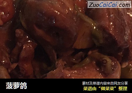 菠萝鸽