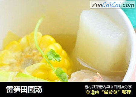 雷笋田园汤