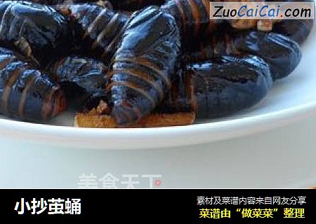 小抄茧蛹