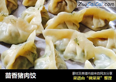 茴香猪肉饺