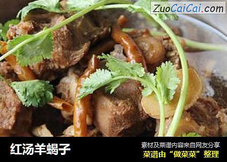 红汤羊蝎子