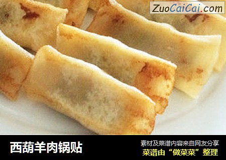 西葫羊肉锅贴