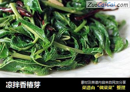 凉拌香椿芽