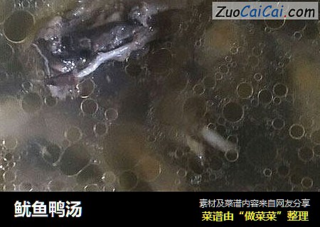 鱿鱼鸭汤