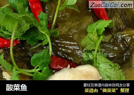 酸菜鱼
