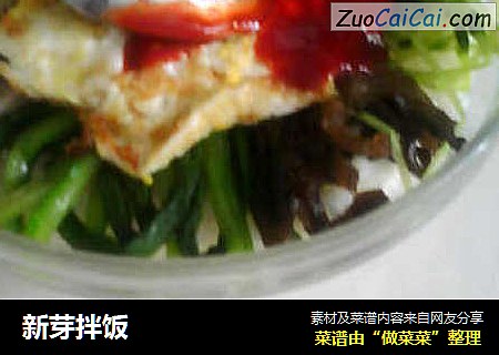 新芽拌饭