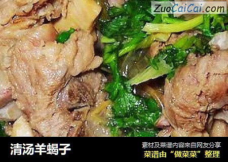 清汤羊蝎子