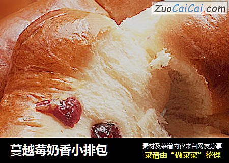 蔓越莓奶香小排包