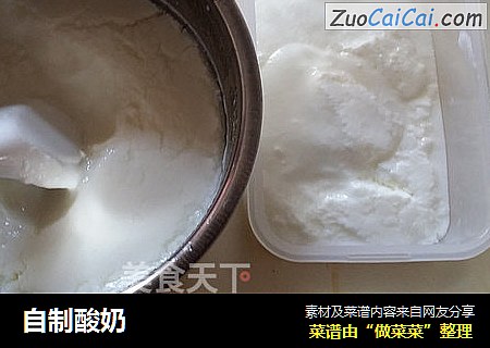 自制酸奶