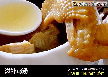 滋补鸡汤