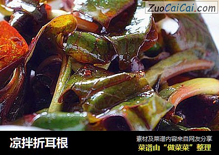 凉拌折耳根