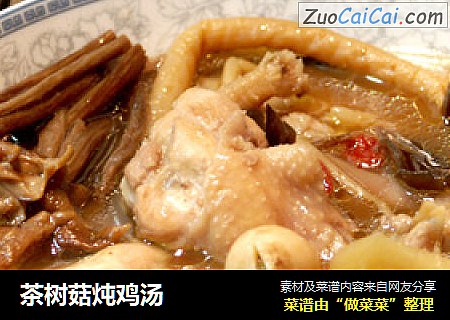 茶树菇炖鸡汤