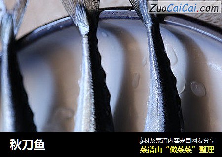 秋刀鱼