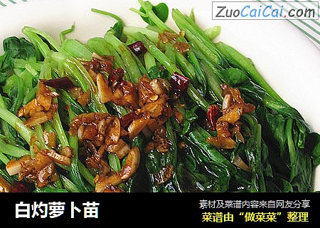 白灼萝卜苗
