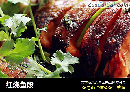 红烧鱼段