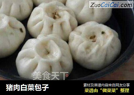 猪肉白菜包子