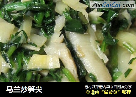 马兰炒笋尖