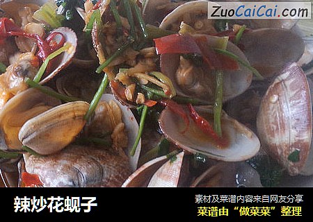 辣炒花蚬子