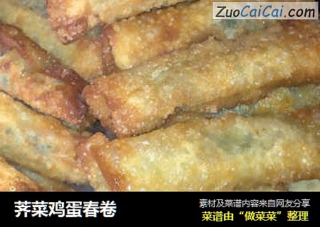 荠菜鸡蛋春卷
