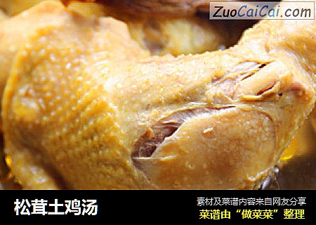 松茸土鸡汤
