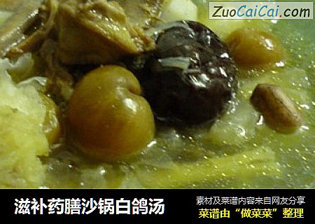 滋补药膳沙锅白鸽汤